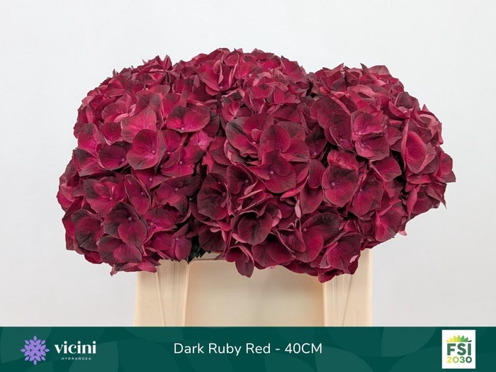 <h4>HYDR M MAG DARK RUBY</h4>