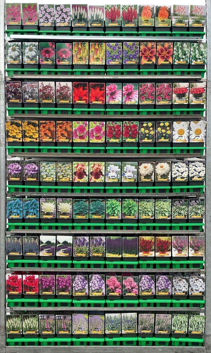 <h4>Vaste planten mixkar</h4>