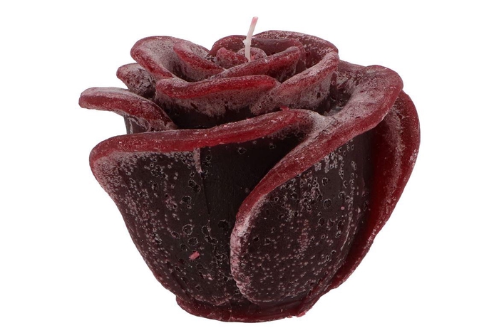 <h4>Candle Roos Bordeaux 14x12cm</h4>