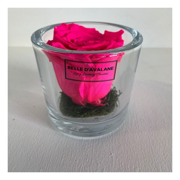 <h4>Cilinder d9x8h fuchsia roos glas</h4>