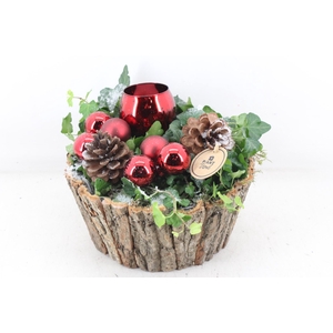 arr2 PL - Schors pot hedera RED 1bolwax