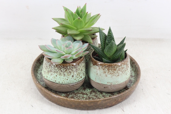 <h4>arr2 MB - Ker. plateau 3pot ech</h4>