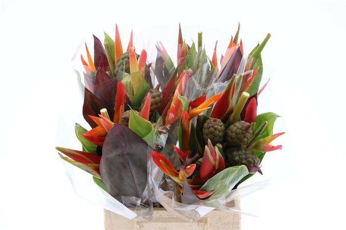 <h4>Bouquet Af (rd)</h4>