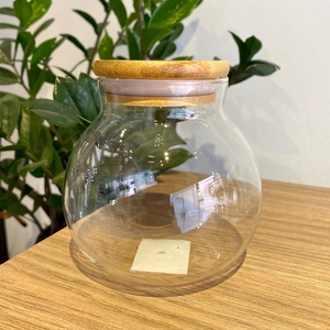 100/1 - POTE DE VIDRO COM TAMPA IMP 1063