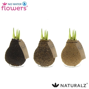 No Water Flowers Naturalz Corkz Mix