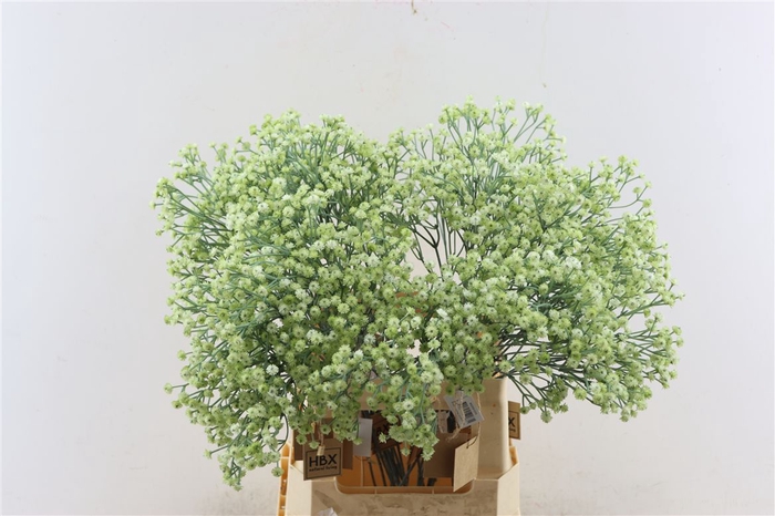 <h4>Artificial Stem Gyps Green</h4>