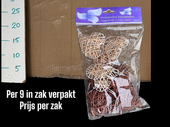 <h4>HUIS EN TUINDECO H%</h4>