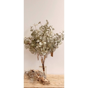 BRANCH EUCA CINEREA L40W25 green