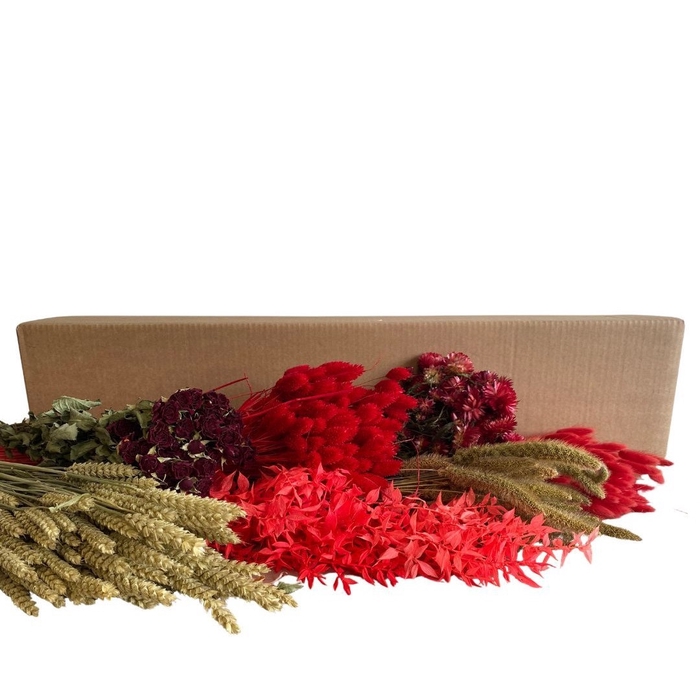 <h4>Droogbloem DIY box assorti 65-75cm</h4>