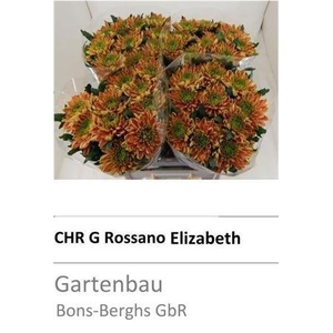 Chr G Ross Elizabeth