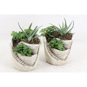 arr3 SN - Tower garden x8