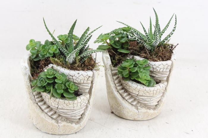 <h4>arr3 SN - Tower garden x8</h4>