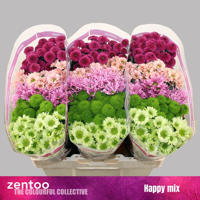<h4>CHR S MIX HAPPY</h4>