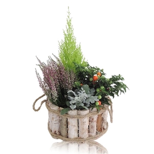 Collectie Anna Arrangement in Houten Bak Rond 23 cm