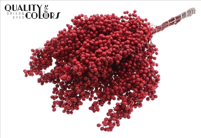 <h4>Dried schinus mollis paint red</h4>