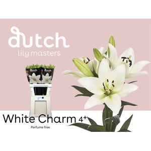 LI LA WHITE CHARM