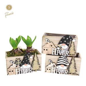 (2927) Hyacint Hiver 2PP Mos