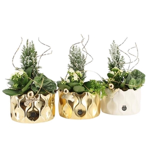 61628: X-mas arrangement