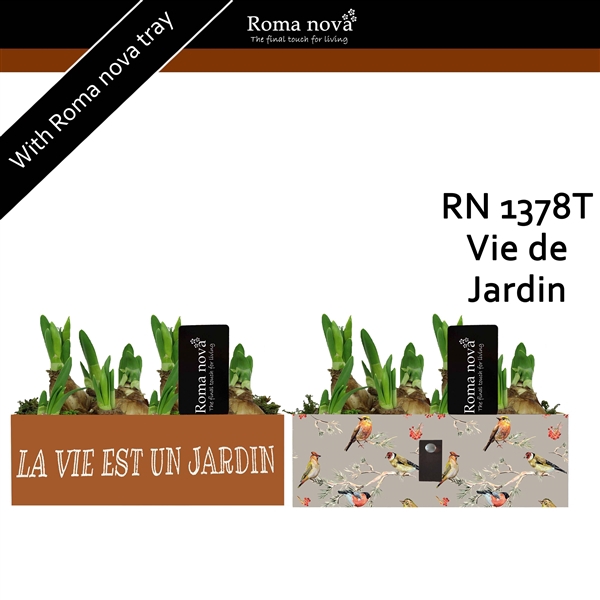 <h4>1378T - Vie de Jardin (Tete a Tete)</h4>