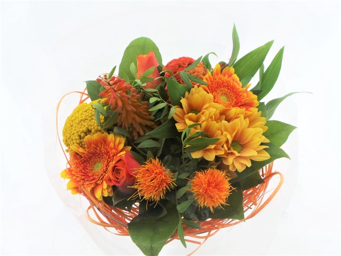 <h4>BQ Sisal Medium Orange</h4>