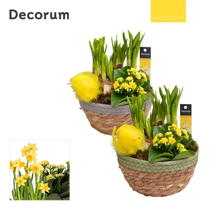 <h4>Calandiva & Narcis Urban Schaal HL20915 [YELLOW]</h4>