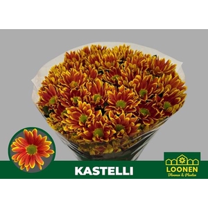 CHR T KASTELLI