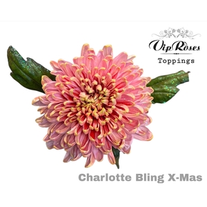 CHR G CHARLOTTE BLING XMAS