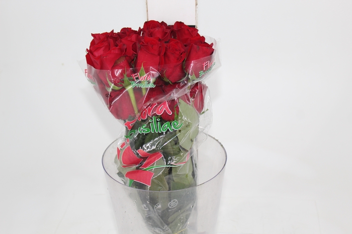 <h4>ROSA FREEDOM 060 CM ESTUFA</h4>