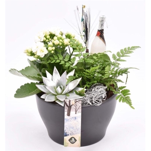 Ker. schaal mat zwart 15.5cm