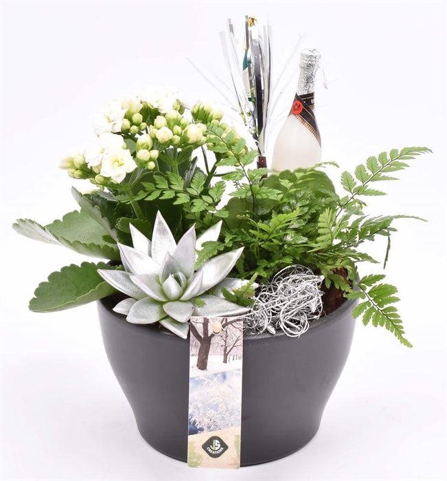 <h4>Ker. schaal mat zwart 15.5cm</h4>