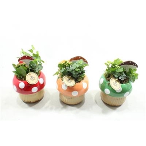 8600 KER MINI PADDESTOEL