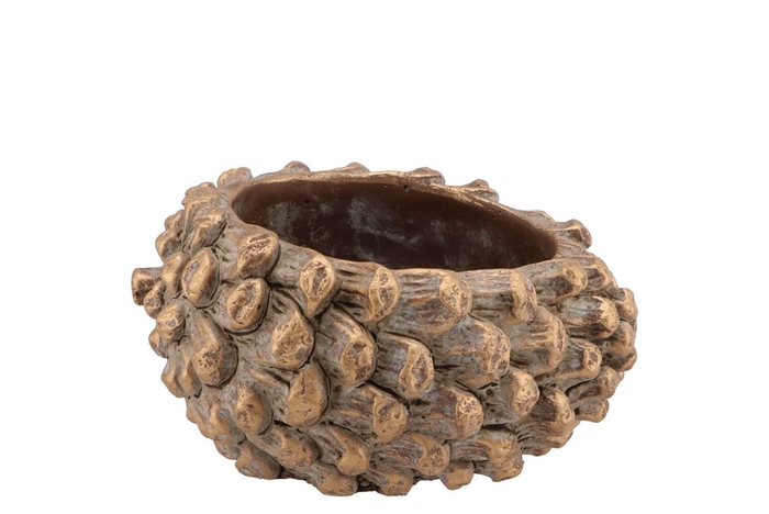 <h4>Concrete Pinecone Round Gold 16x13x10cm Nm</h4>