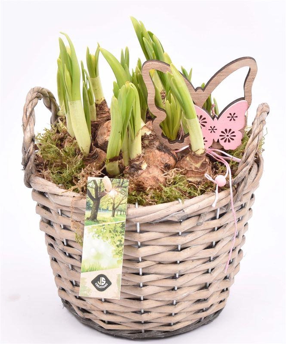 <h4>Wilg mand grijs met oor 18cm</h4>