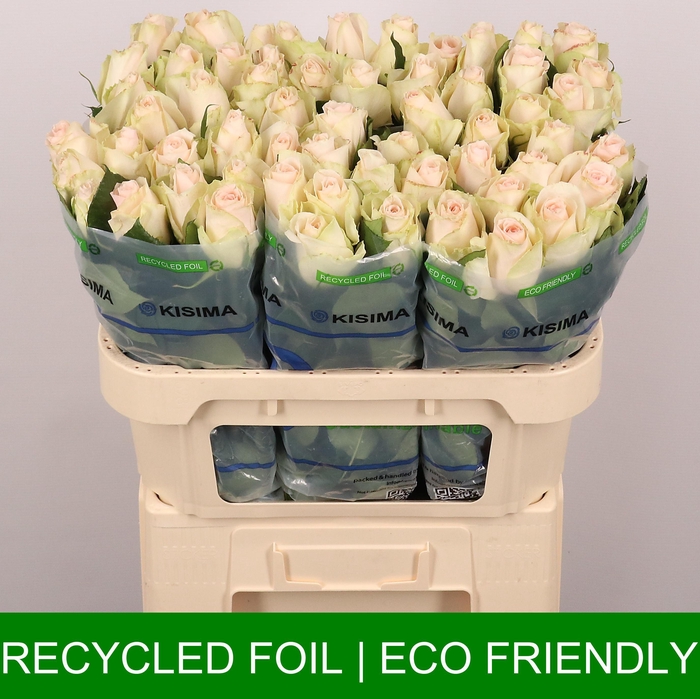 <h4>R GR HIGH & BRIDAL</h4>