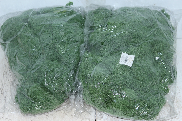 <h4>MUSGO MOSS LINE PCT 500G VERDE CLARO</h4>