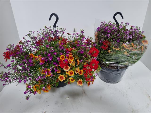 HANGING BASKETS