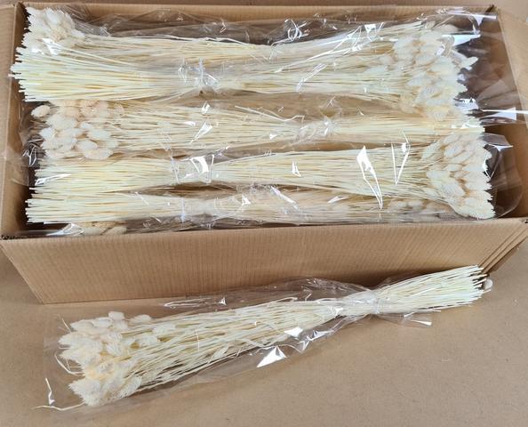 <h4>DF Phalaris Bleached 100g</h4>