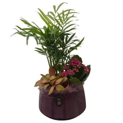 <h4>PTIB5170 Arrangement Indoor in keramiek pot</h4>