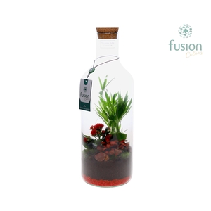 Green Bottle Fles Medium Love met arrangement