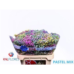 GYPS KLB H% PASTEL MIX 80/40GR