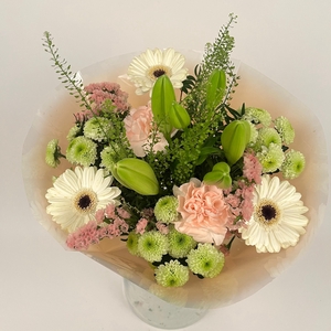 Bq Volume Voltage Salmon M