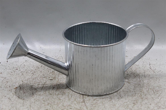 <h4>Deco Watering Can</h4>
