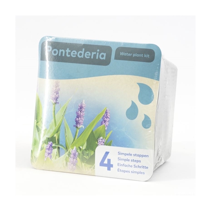 <h4>Droogverpakking waterpl Pontederia</h4>