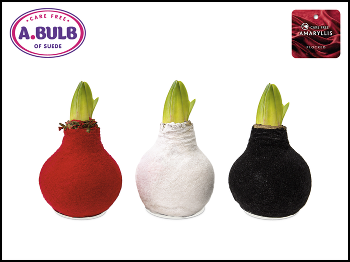 <h4>A.BULB of Suede - 36cm Bling Mix Flocked</h4>
