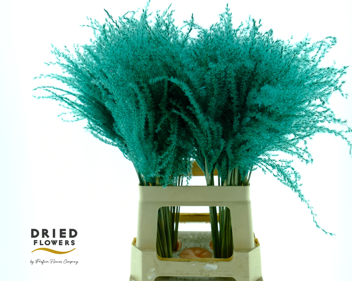 <h4>Dried Stipa Feather Blue</h4>