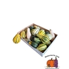 CUCURBITA MAYA MIX