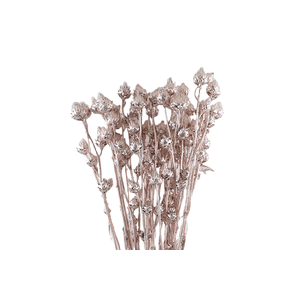 Stingball Klb Rose Gold