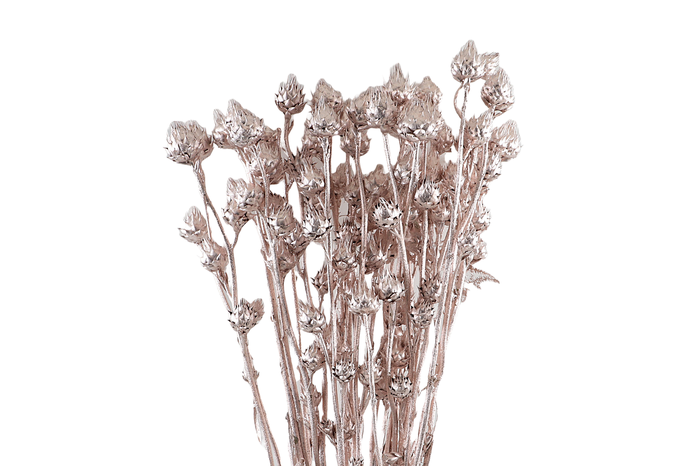 Stingball Klb Rose Gold