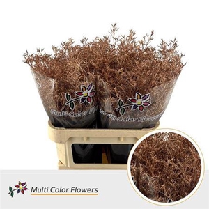 Lim Ov Klb H% Copper