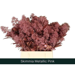 Skim Ov Bs Metallic Pink Klb